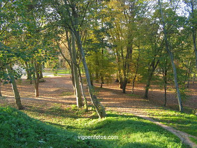 Bosque del parque de Castrelos (Vigo).