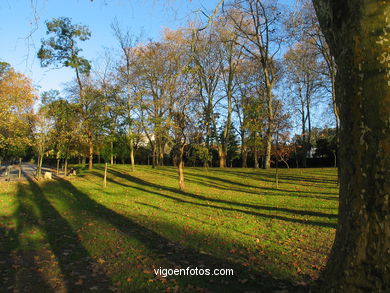 Bosque del parque de Castrelos (Vigo).