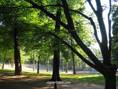 Forest
(Castrelos park)
. 
