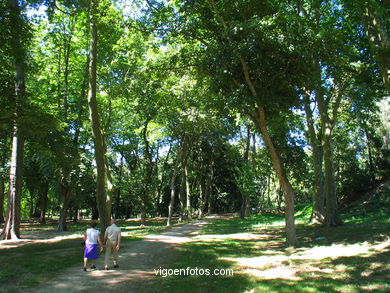 Forest
(Castrelos park)
. 