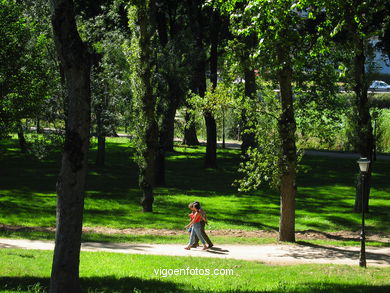 Bosque del parque de Castrelos (Vigo).