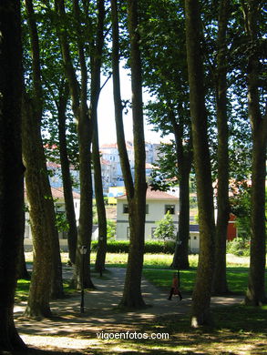 Forest
(Castrelos park)
. 