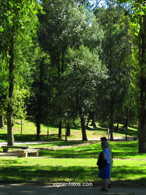 Bosque del parque de Castrelos (Vigo).