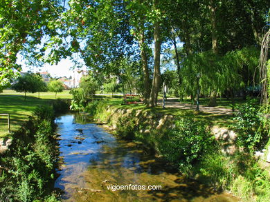 Bosque del parque de Castrelos (Vigo).