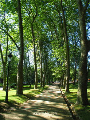 Bosque del parque de Castrelos (Vigo).