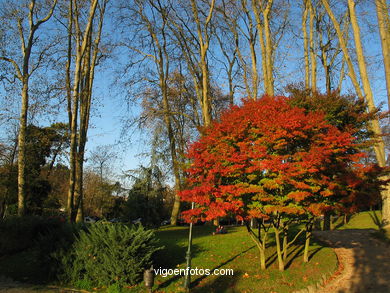 Jardines. Parque Castrelos.