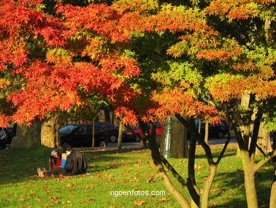 Jardines. Parque Castrelos.