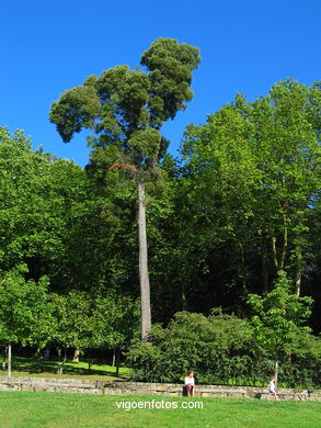 Jardines del parque de Castrelos (Vigo).