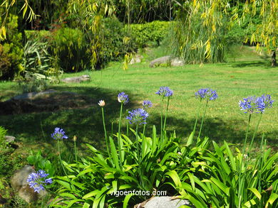 Jardines. Parque Castrelos.
