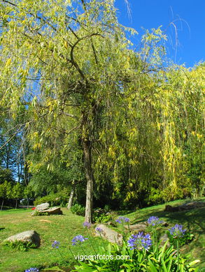 Jardines del parque de Castrelos (Vigo).