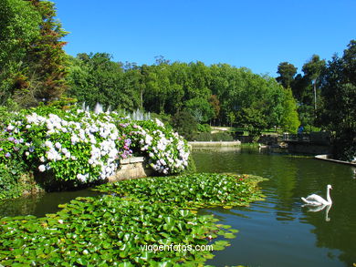 Lago artificial del parque de Castrelos (Vigo).