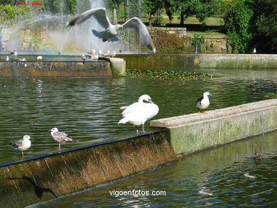 Lago artificial del parque de Castrelos (Vigo). 
