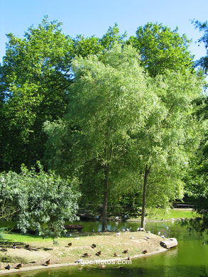 Lago artificial del parque de Castrelos (Vigo). 