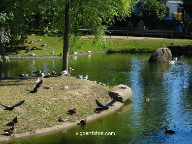 Lago artificial del parque de Castrelos (Vigo). 