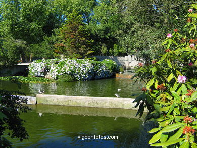 Lago artificial del parque de Castrelos (Vigo).