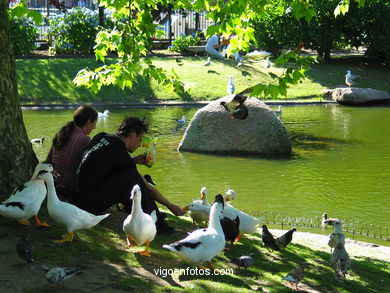 Lago artificial del parque de Castrelos (Vigo). 