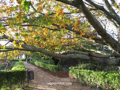 Forest and gardens of the Castro park.