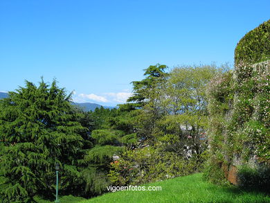 Bosque y jardines del parque del Castro (Vigo). 