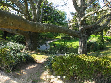 Forest and gardens of the Castro park.