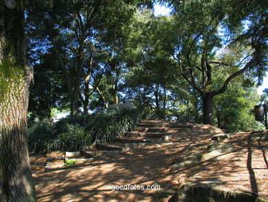 Bosque y jardines del parque del Castro (Vigo). 