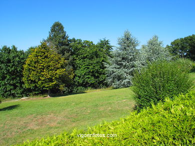 Forest and gardens of the Castro park.