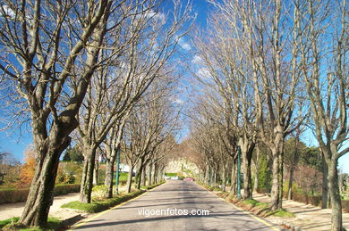 Landscapes and spots of Castro Park (Vigo). 