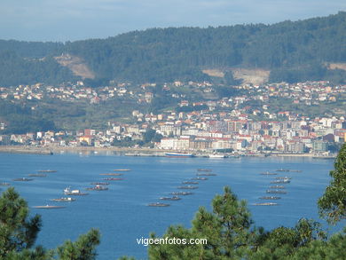 Parque del Monte de la Gu�a (en Teis) (Vigo). 
