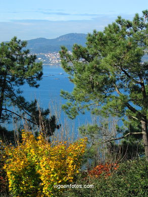 Parque del Monte de la Gu�a (en Teis) (Vigo). 