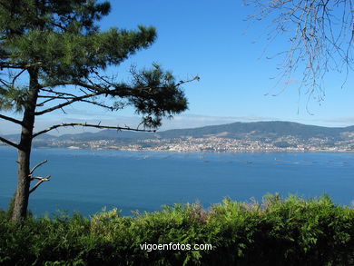 Parque del Monte de la Gu�a (en Teis) (Vigo). 