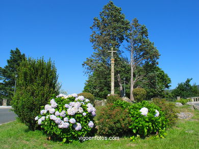 Parque del Monte de la Gu�a (en Teis) (Vigo). 