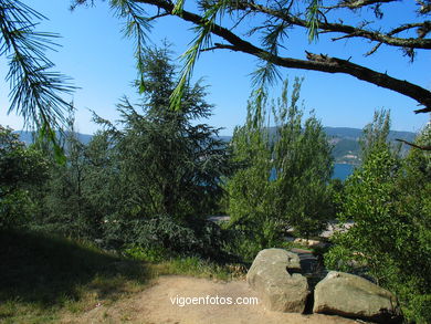 Parque del Monte de la Gu�a (en Teis) (Vigo). 