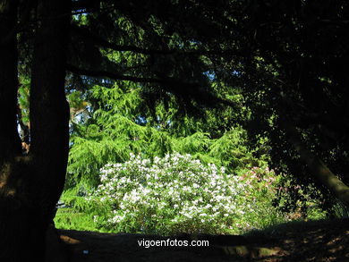 Parque del Monte de la Guía (en Teis) (Vigo).