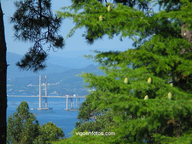 Parque del Monte de la Guía (en Teis) (Vigo).