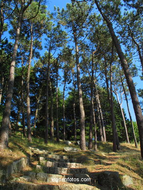 Parque del Monte de la Gu�a (en Teis) (Vigo). 