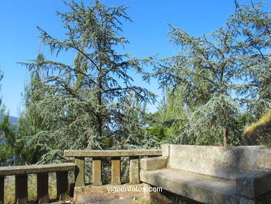 Parque del Monte de la Gu�a (en Teis) (Vigo). 