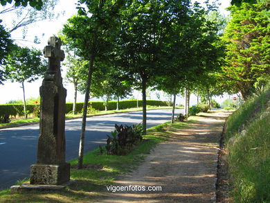 Parque del Monte de la Gu�a (en Teis) (Vigo). 