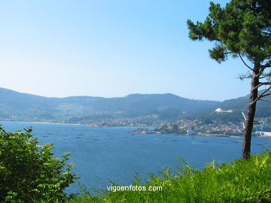 Parque del Monte de la Gu�a (en Teis) (Vigo). 