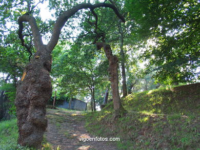 The gu�a
(Others parks and gardens)
. 
