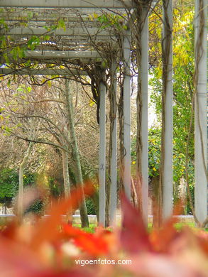 Jardines de Montero R�os - Jardines de Elduayen (As Avenidas) Vigo. 