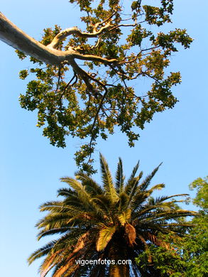 Jardines de Montero R�os - Jardines de Elduayen (As Avenidas) Vigo. 