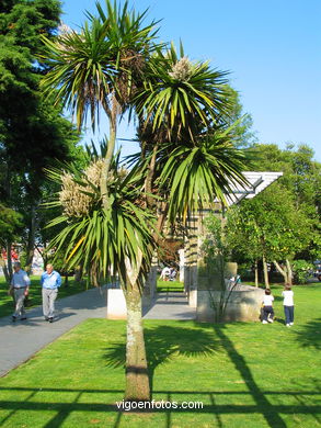 Montero rios garden. 