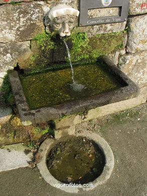 Paseo de los escudos del Museo-Pazo Quiñones de León (Vigo)
- (Ver mapa).