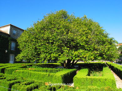 French garden
(Qui�ones de le�n)
. 