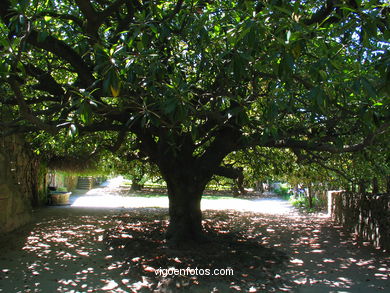English garden
(Qui�ones de le�n)
. 