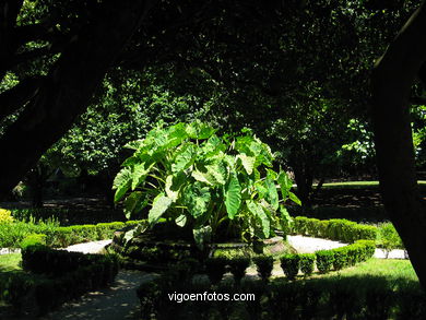 Jardín inglés del Museo-Pazo Quiñones de León (Vigo).