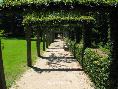 English garden
(Qui�ones de le�n)
. 