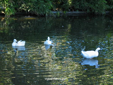 Jardín inglés del Museo-Pazo Quiñones de León (Vigo).