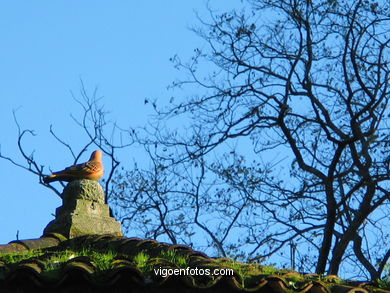 Others gardens
(Qui�ones de le�n)
. 