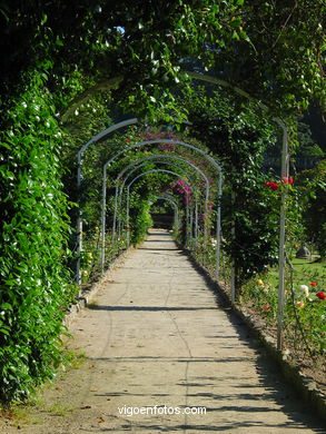 Paseo de la Rosaleda  del Museo-Pazo Qui�ones de Le�n (Vigo). 