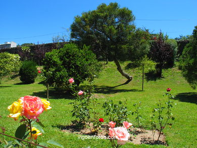Paseo de la Rosaleda  del Museo-Pazo Qui�ones de Le�n (Vigo). 